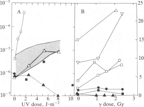 graphic file with name pnas00347-0184-a.jpg