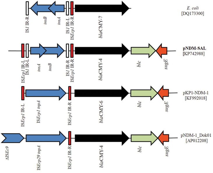 FIGURE 5