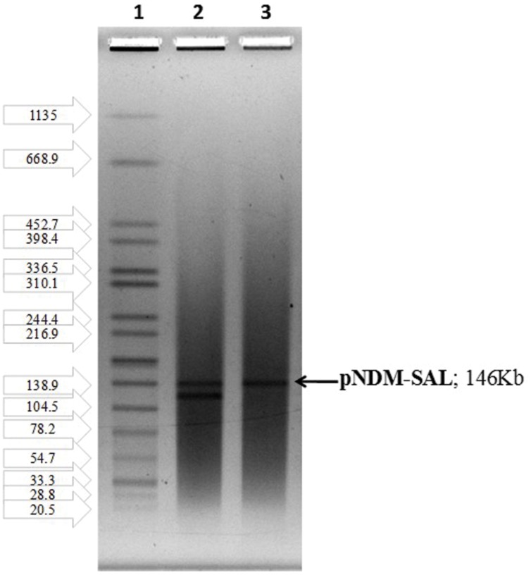 FIGURE 2