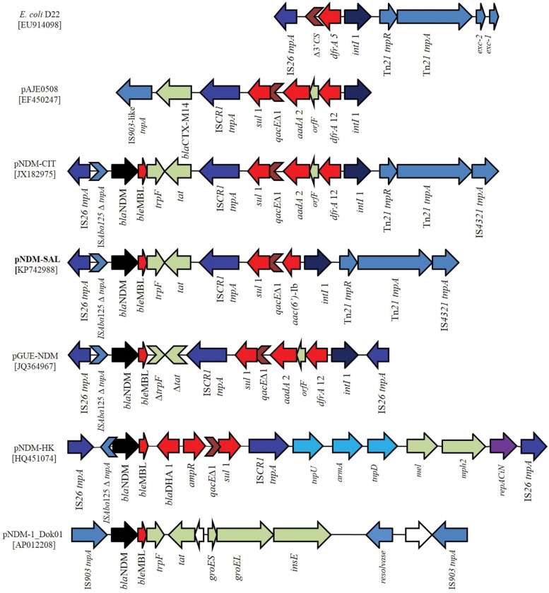 FIGURE 4