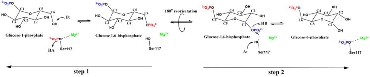 Scheme 1