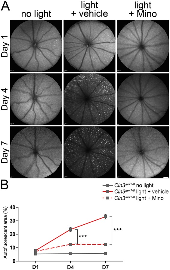 Fig. 7.