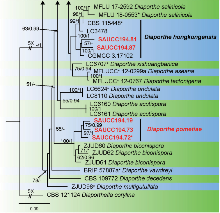 Figure 1.