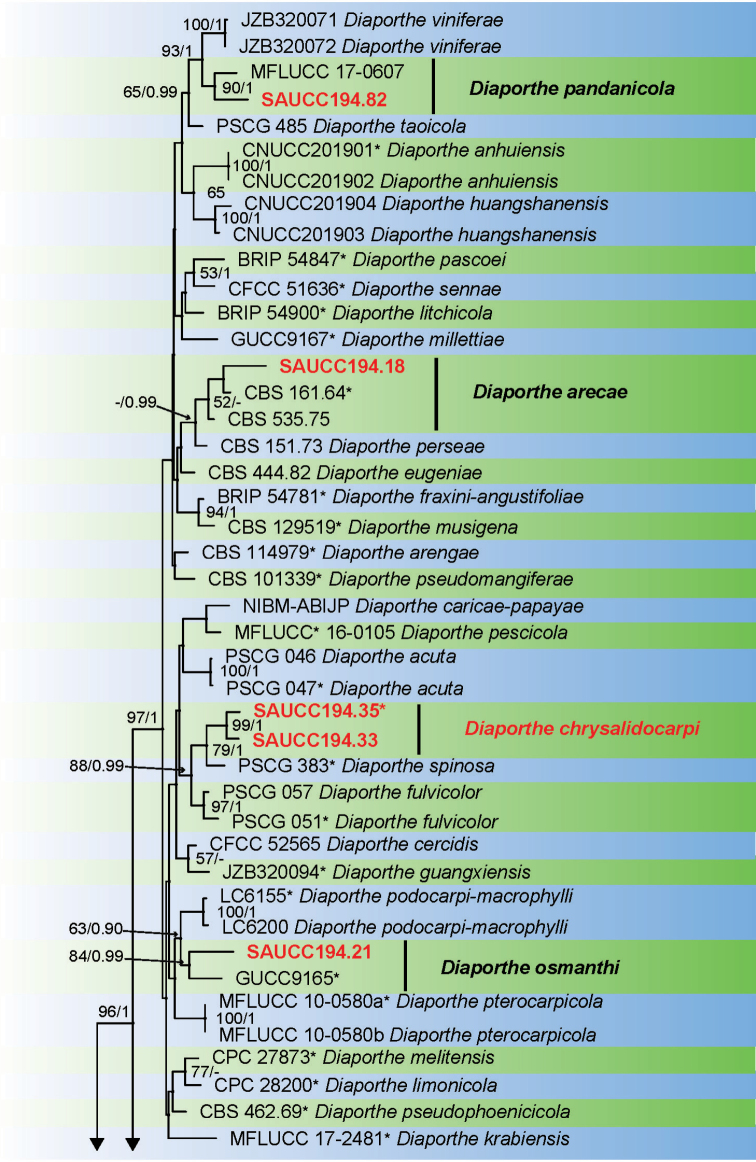 Figure 1.