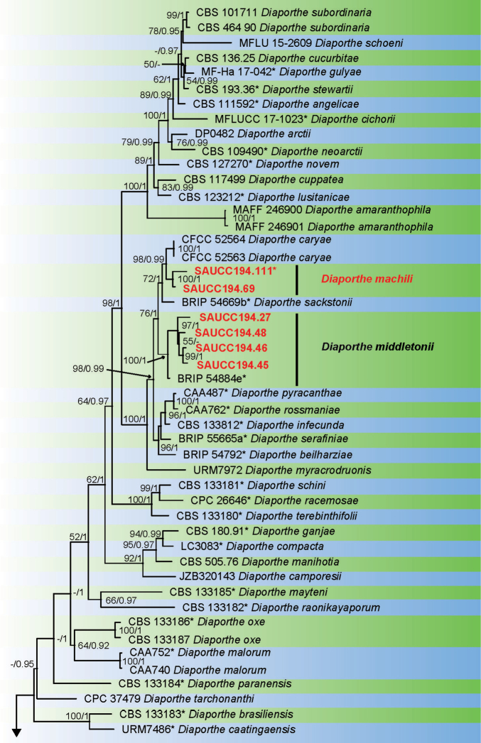 Figure 1.