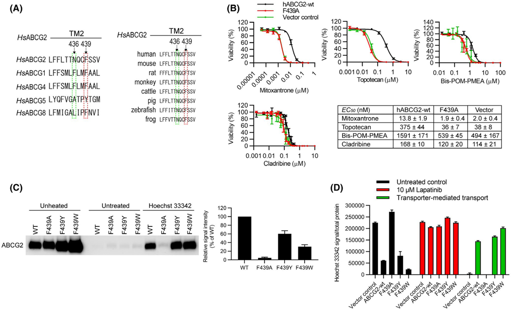 FIGURE 4