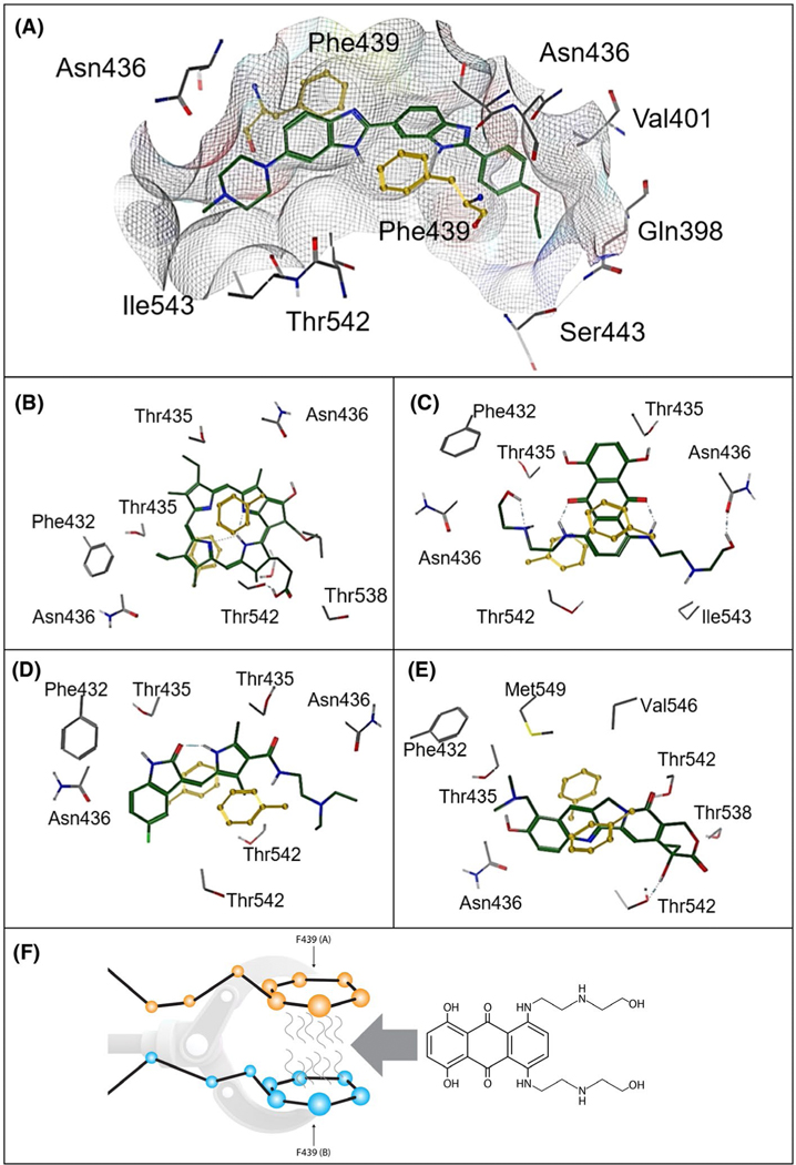 FIGURE 5