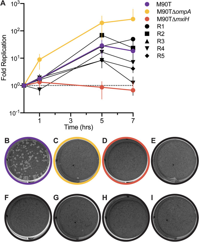 FIG 6