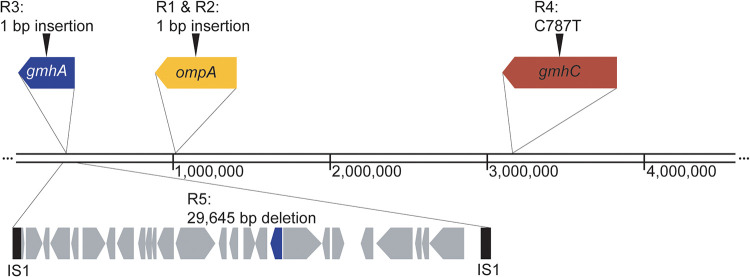 FIG 5