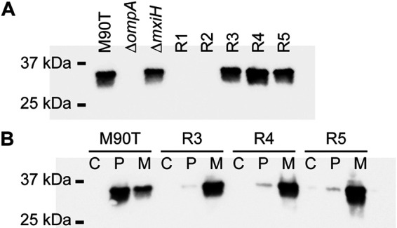 FIG 4