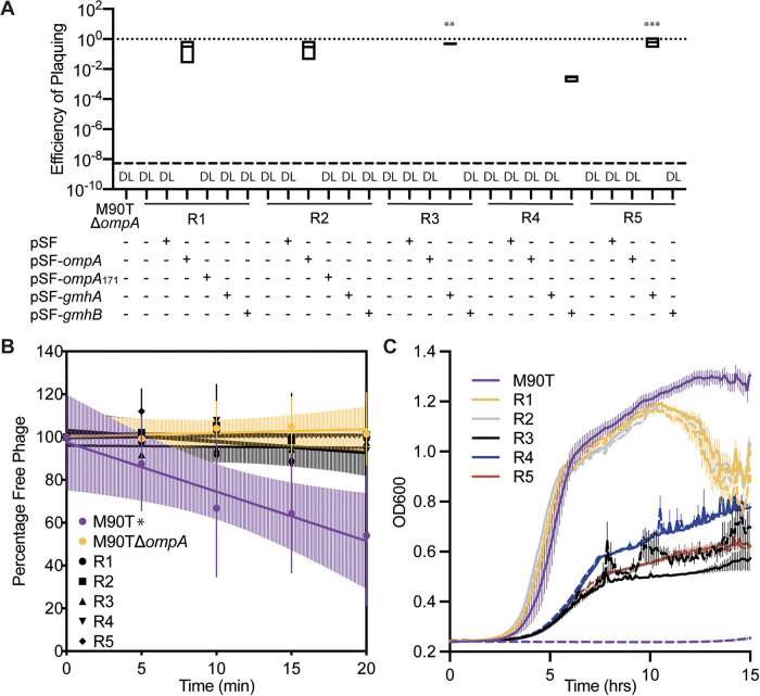 FIG 2