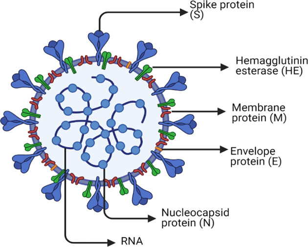 Figure 1