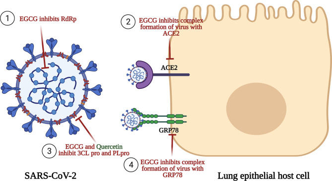 Figure 4