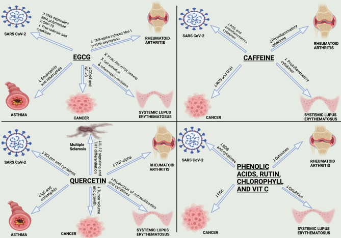 Figure 6