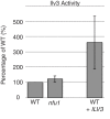 Figure 5—figure supplement 2.