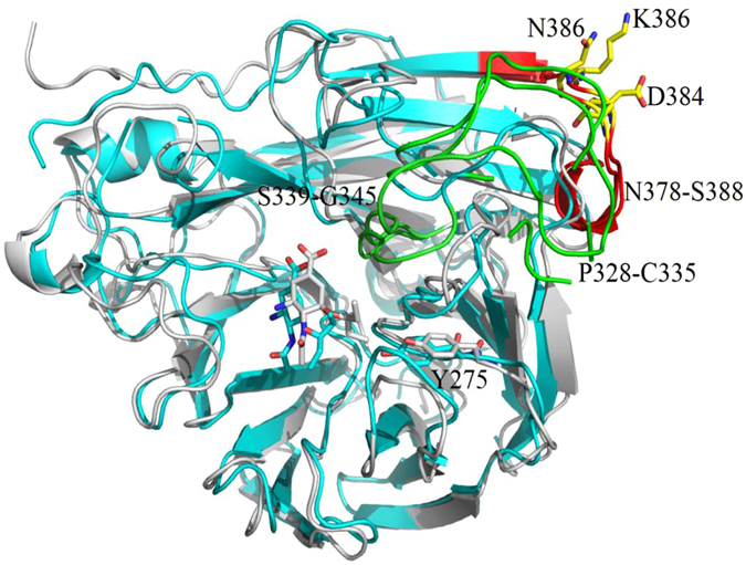 Figure 5