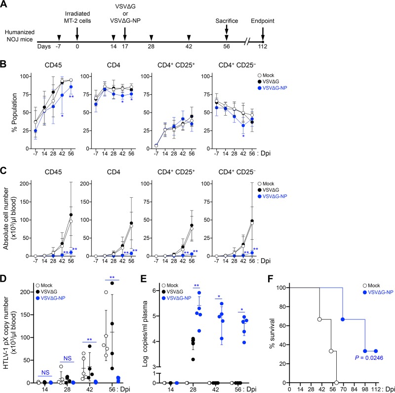 FIG 6