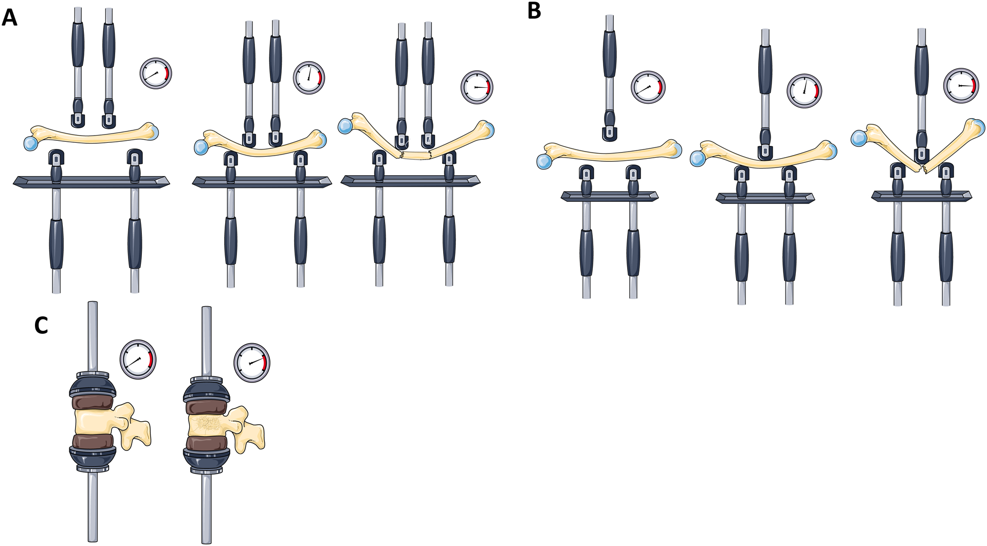 Figure 3: