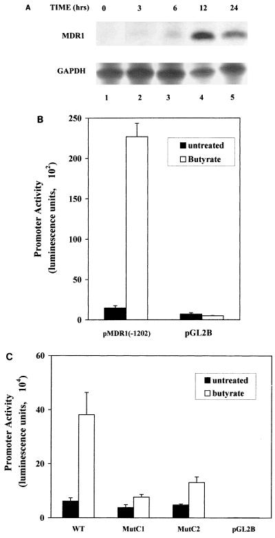 FIG. 8