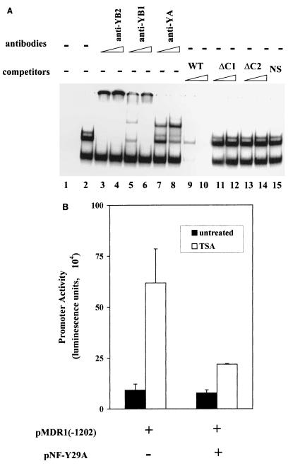 FIG. 6