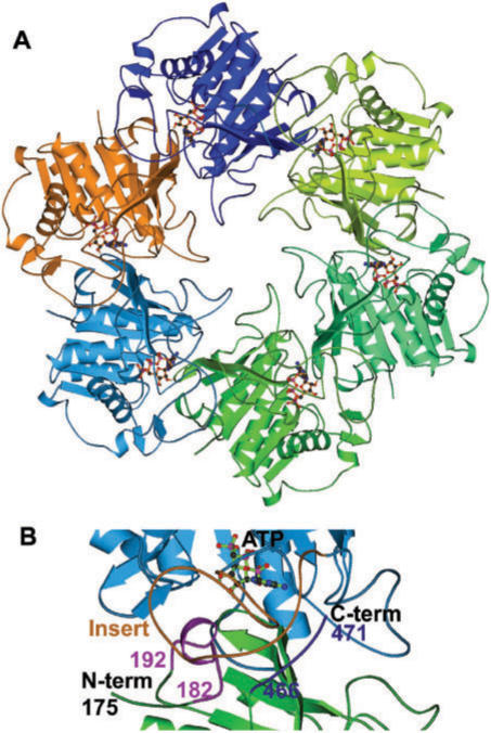 Figure 7.