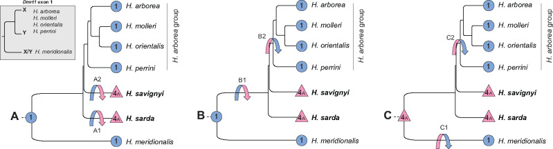 Fig. 3.