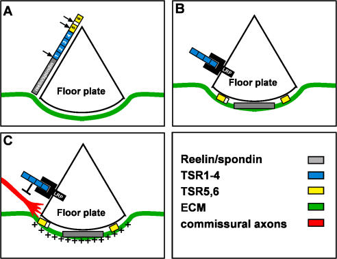 Figure 10.