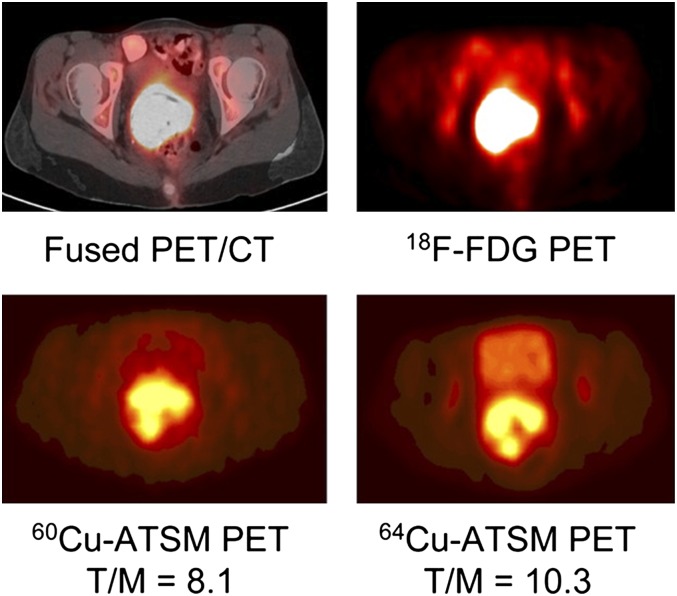 Fig. 19.