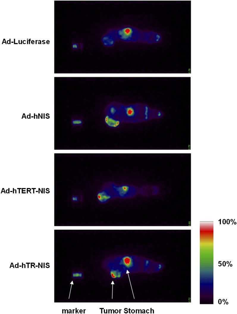 Fig. 14.