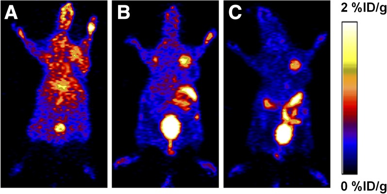 Fig. 21.