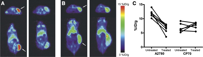 Fig. 20.