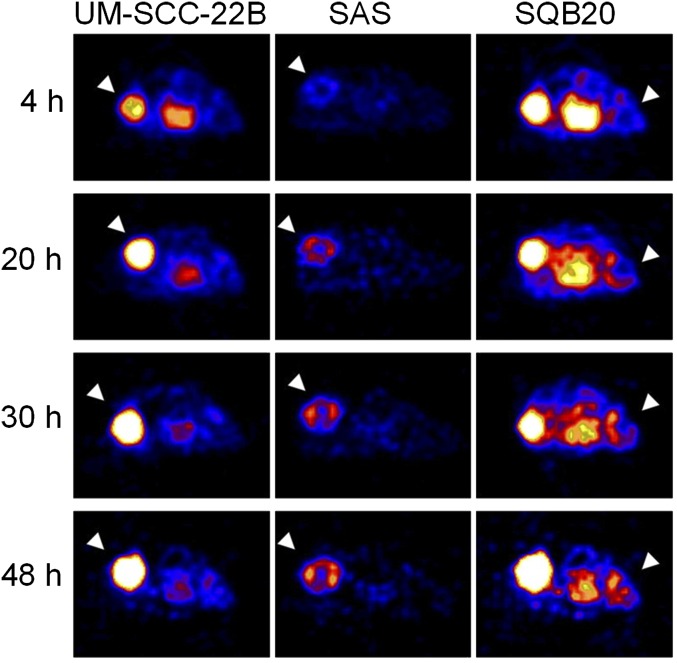 Fig. 4.