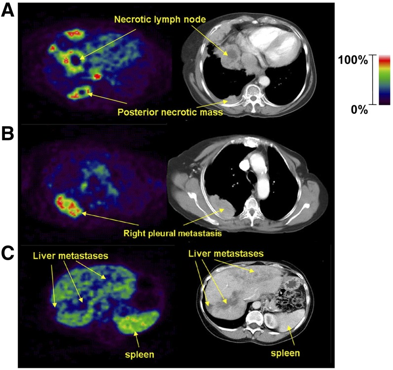 Fig. 23.