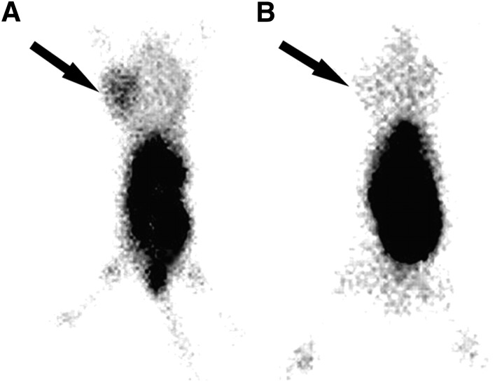 Fig. 15.