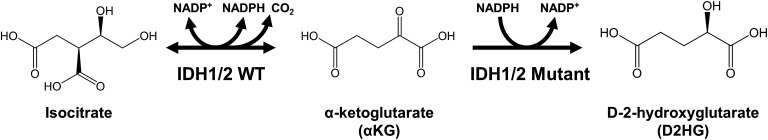 Fig. 2.