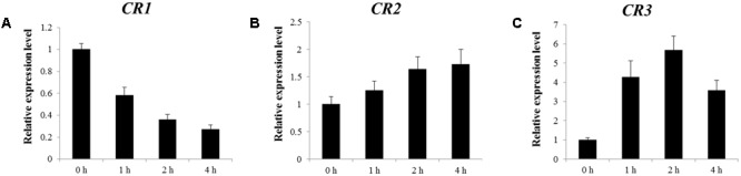 FIGURE 2