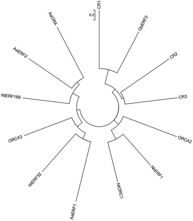 FIGURE 3