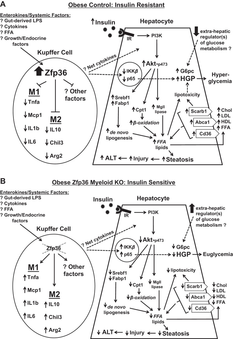 Fig. 11.