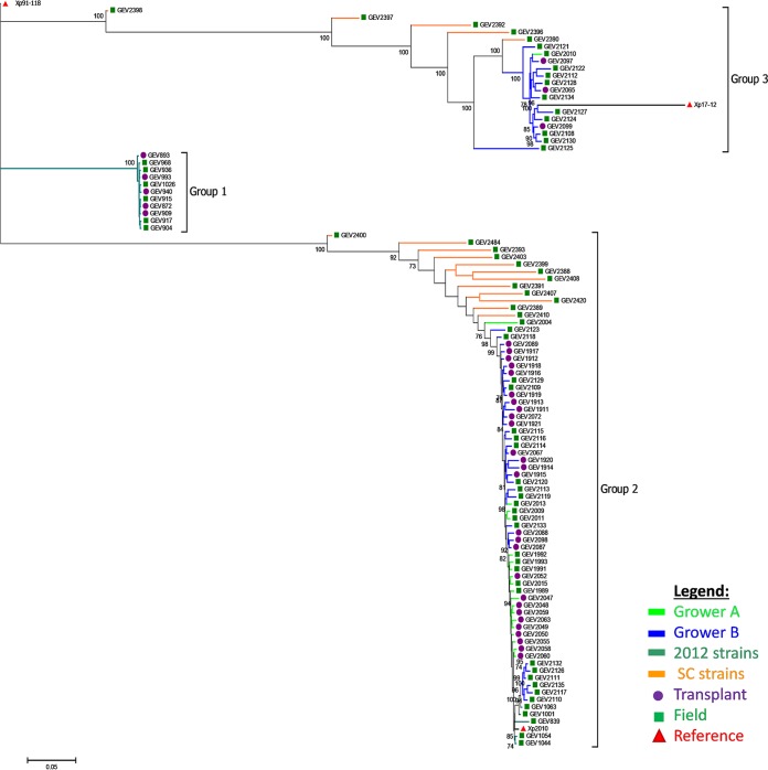 FIG 1