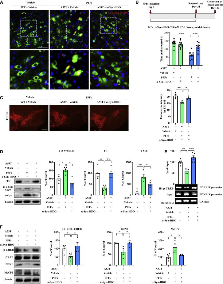 Figure 6