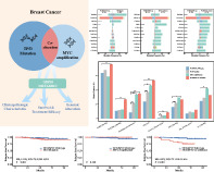 graphic file with name TCA-13-3441-g004.jpg