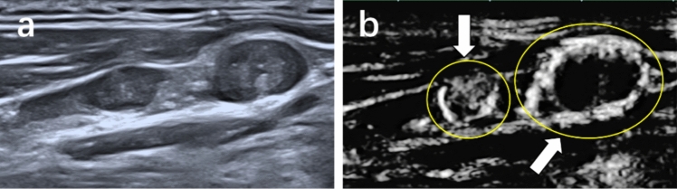 Fig. 7