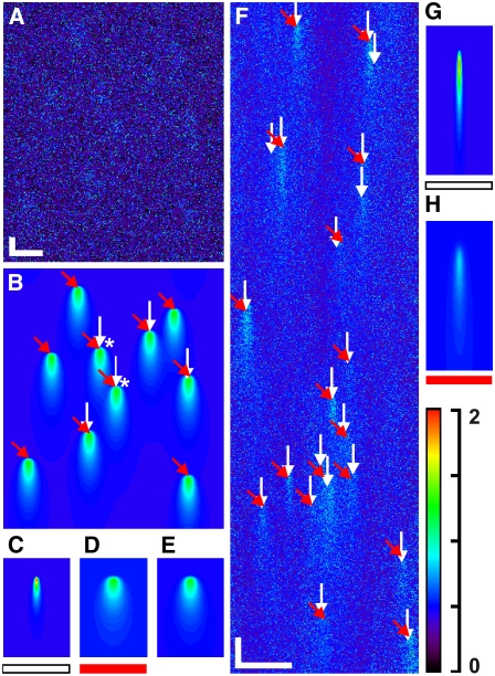 FIGURE 6