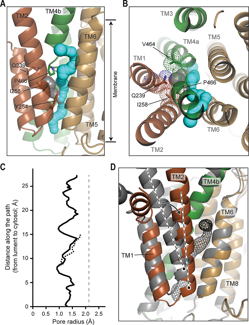 Figure 5.