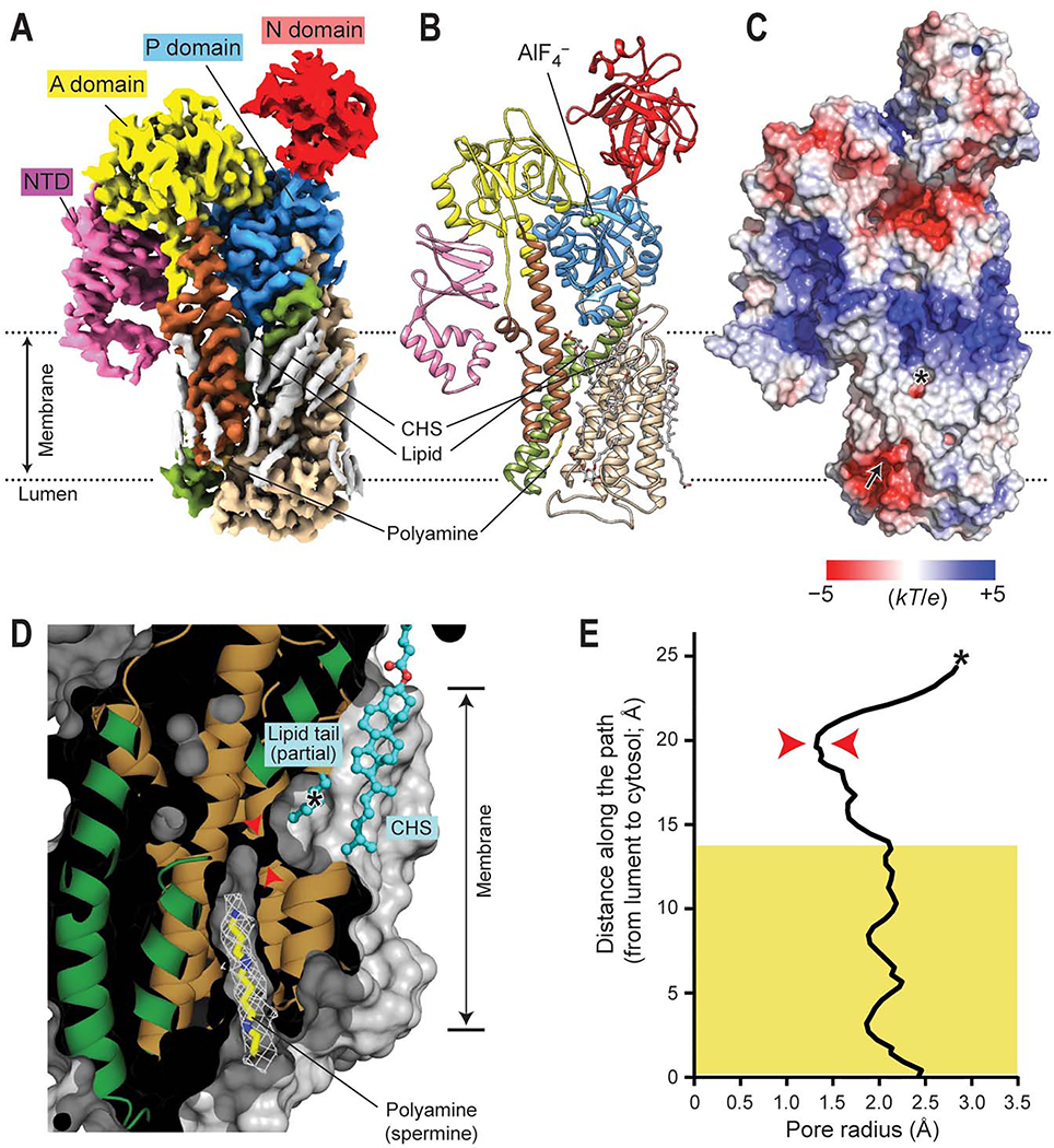 Figure 2.