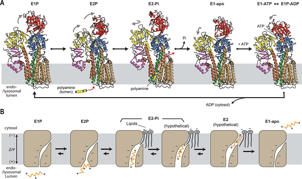 Figure 7.