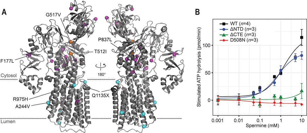 Figure 6.