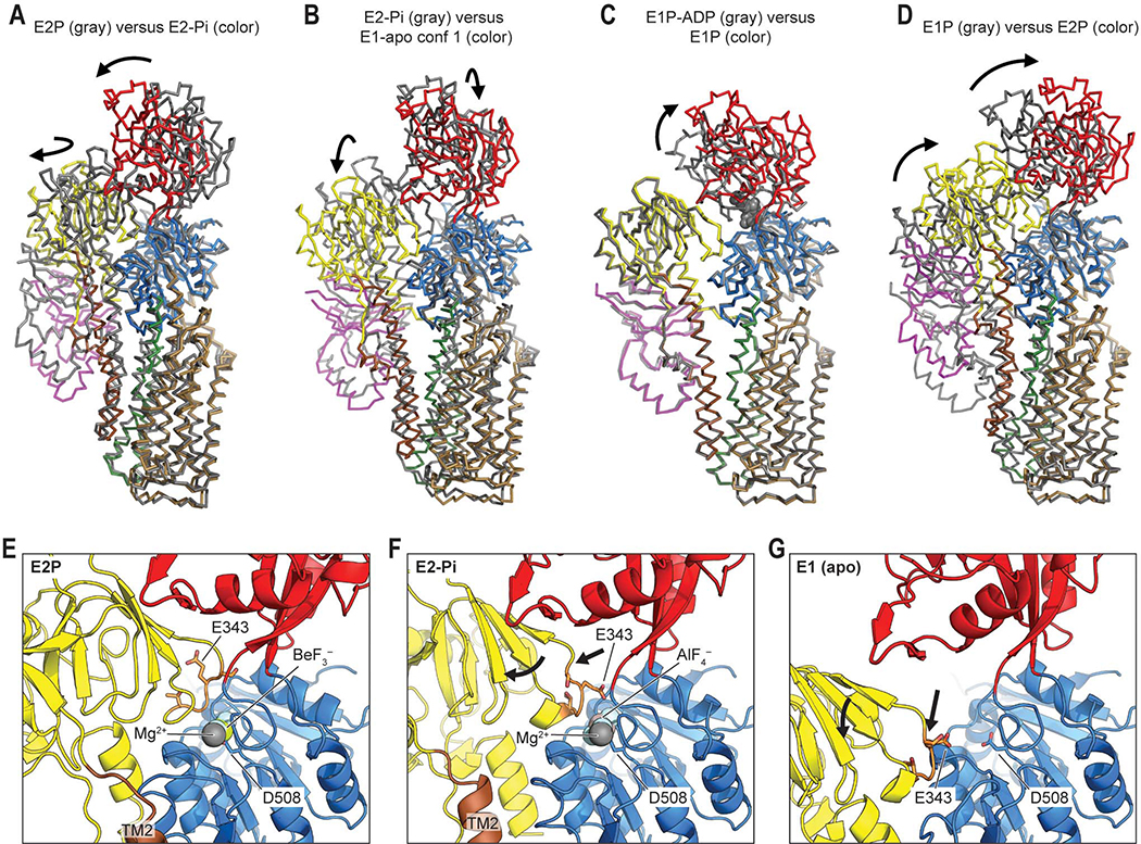 Figure 4.