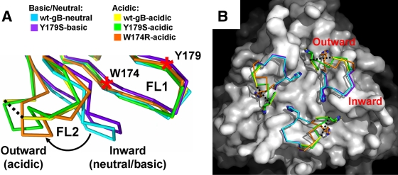 FIG. 2.