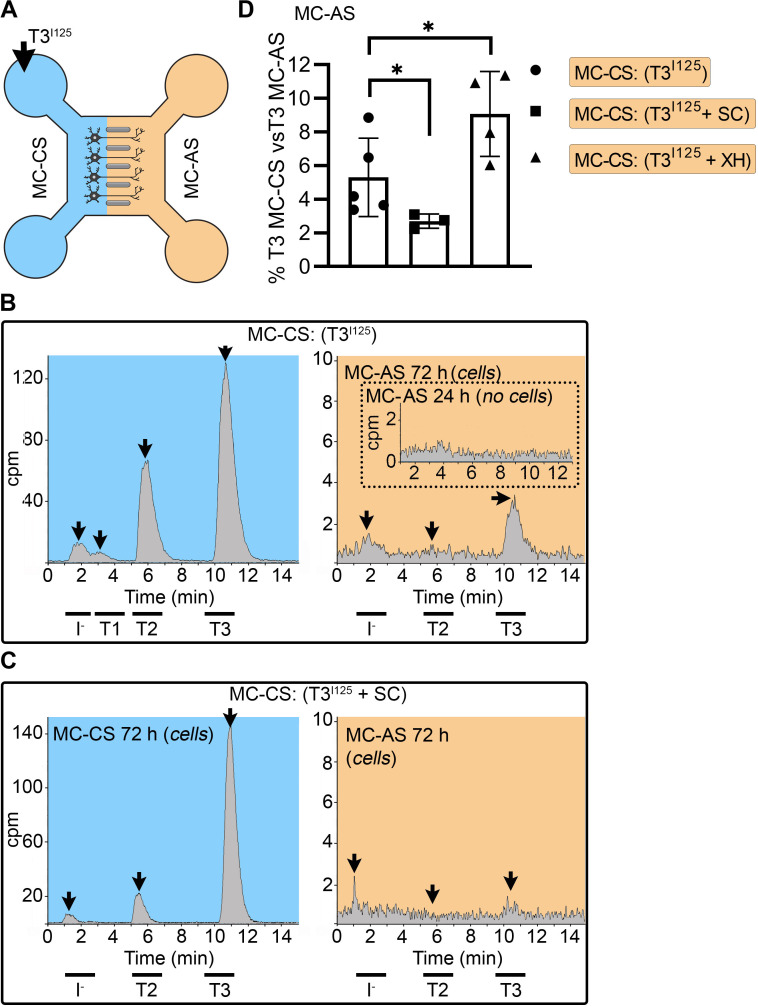 Figure 1—figure supplement 4.